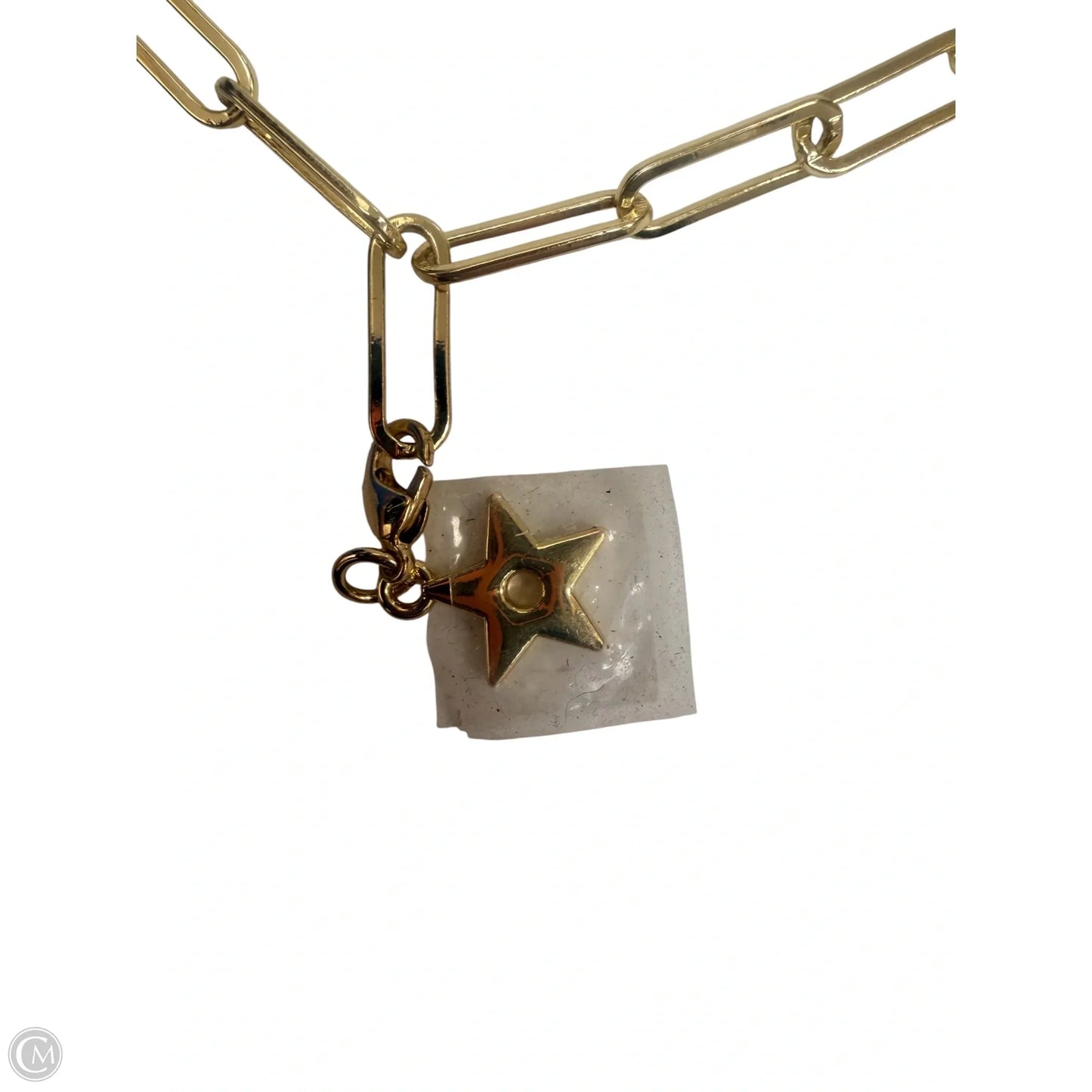 Accessory Designer Tag By Dior