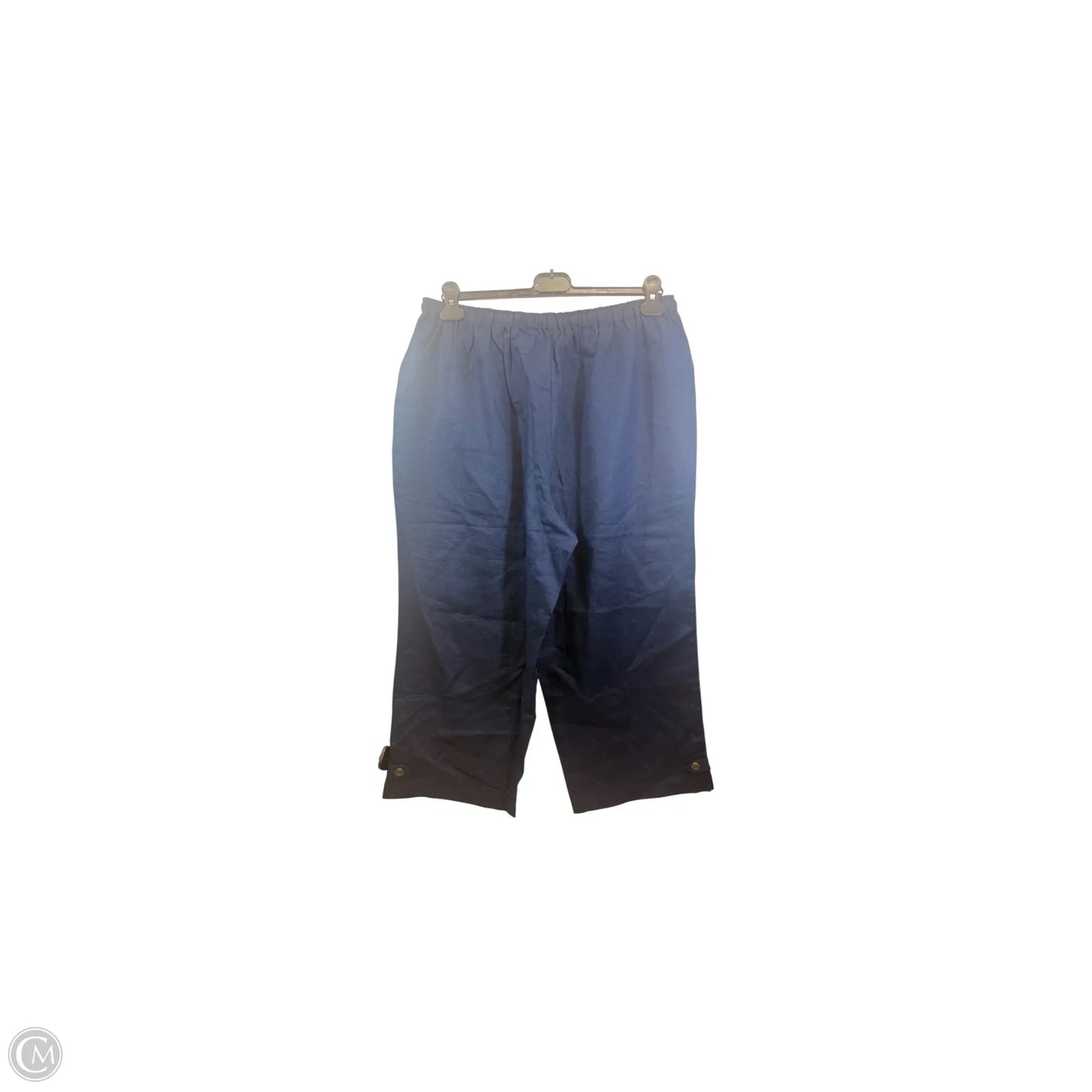 Pants Linen By Silhouttes In Blue, Size: 1x