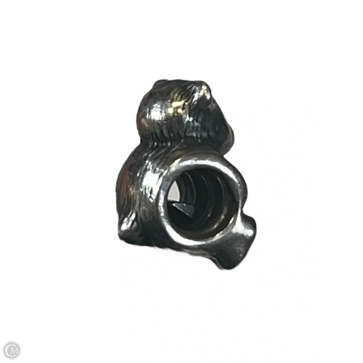 Bracelet Charm By Pandora