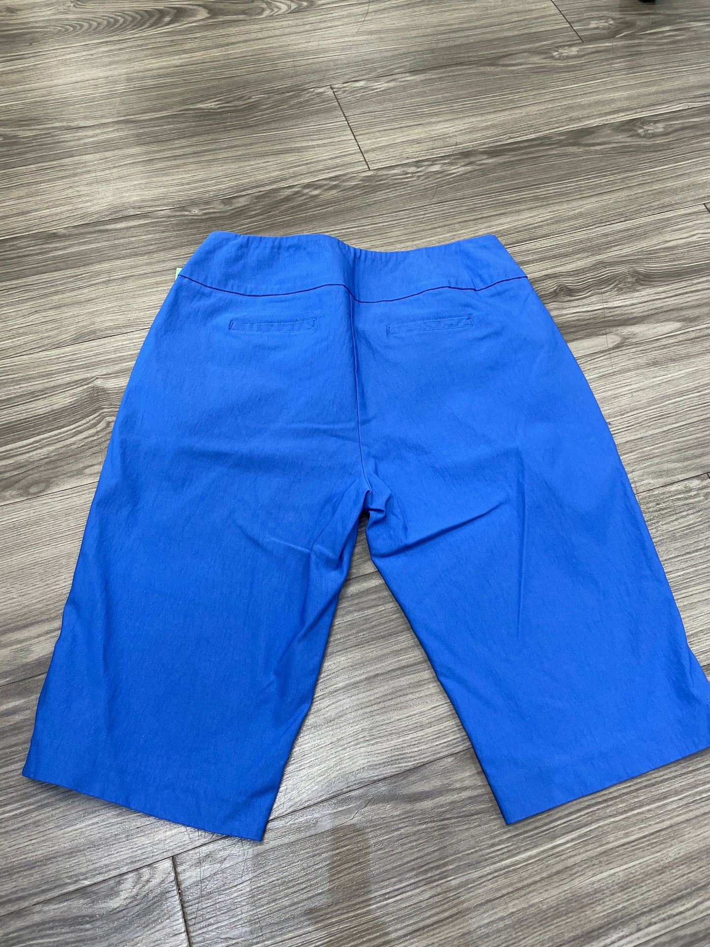 Blue Shorts Clothes Mentor, Size 14
