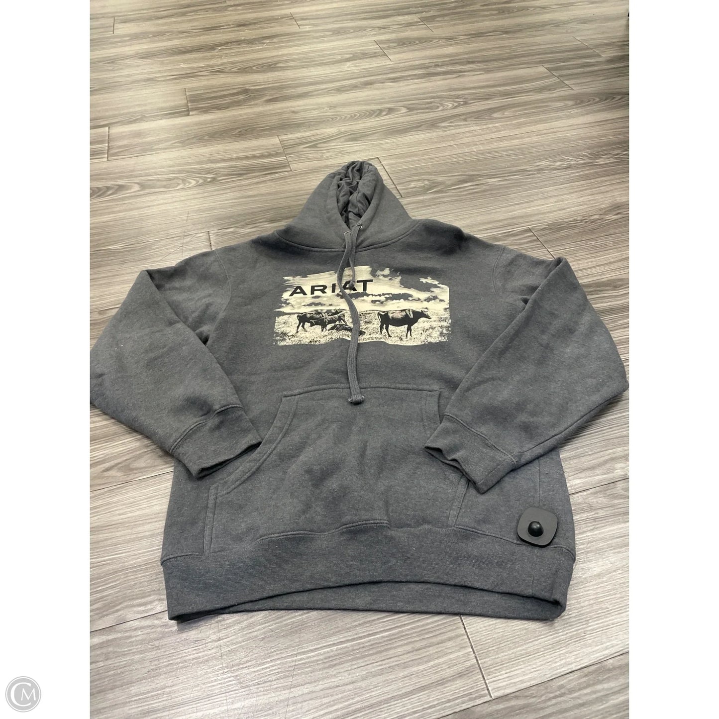 Sweatshirt Hoodie By Ariat In Grey, Size: S