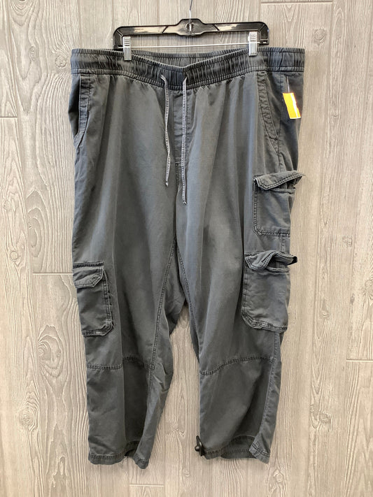 Pants Cargo & Utility By Old Navy In Grey, Size: 2x