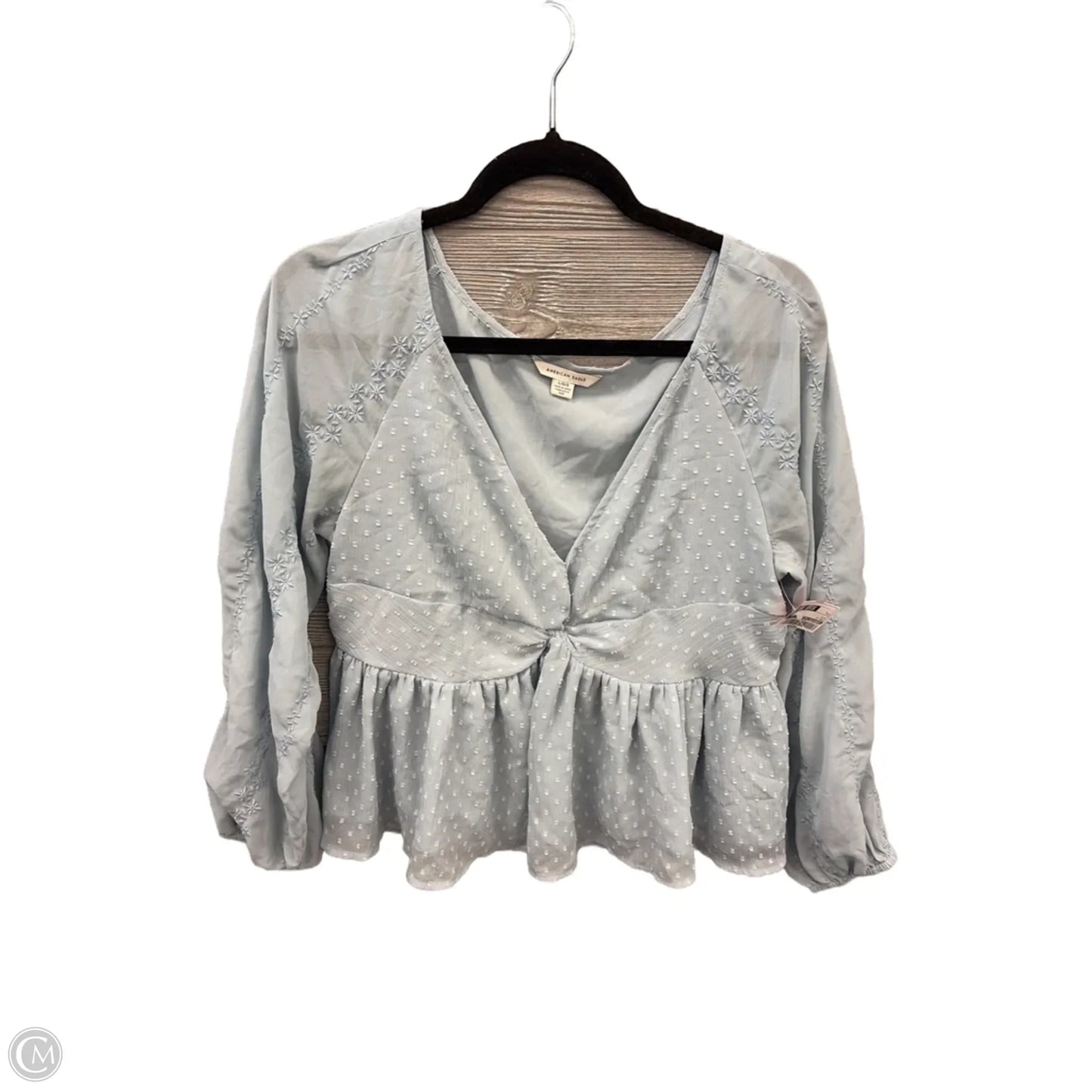 Top Long Sleeve By American Eagle In Blue, Size: L