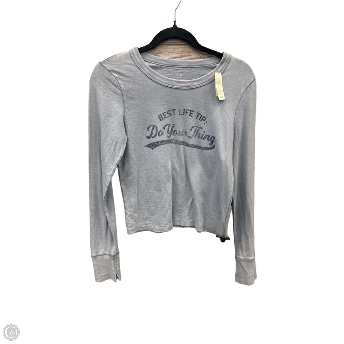 Top Long Sleeve Basic By Aerie In Blue, Size: M