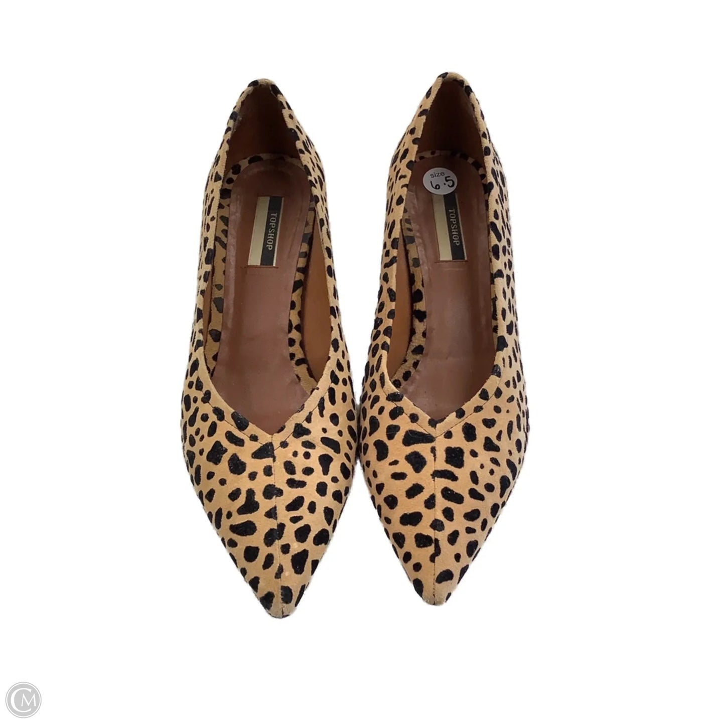 Shoes Heels Kitten By Top Shop In Animal Print, Size: 6.5