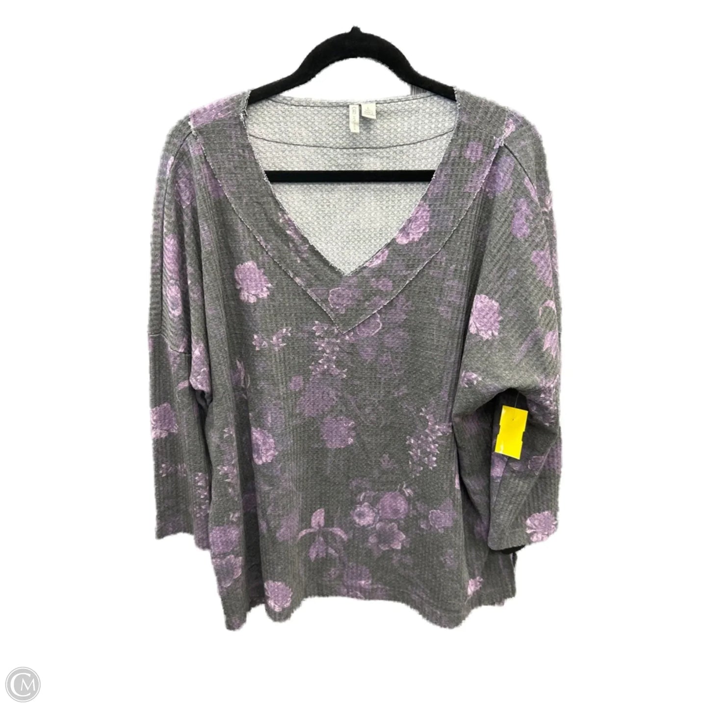 Top Long Sleeve By Cato In Grey & Purple, Size: L