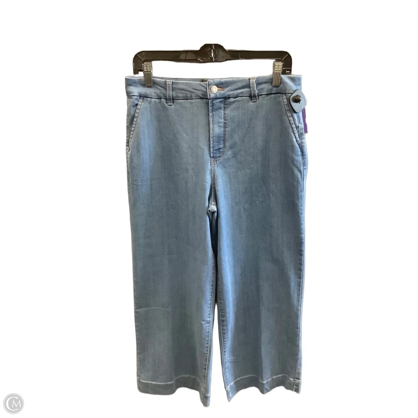 Jeans Wide Leg By Rachel Zoe In Blue Denim, Size: 10p