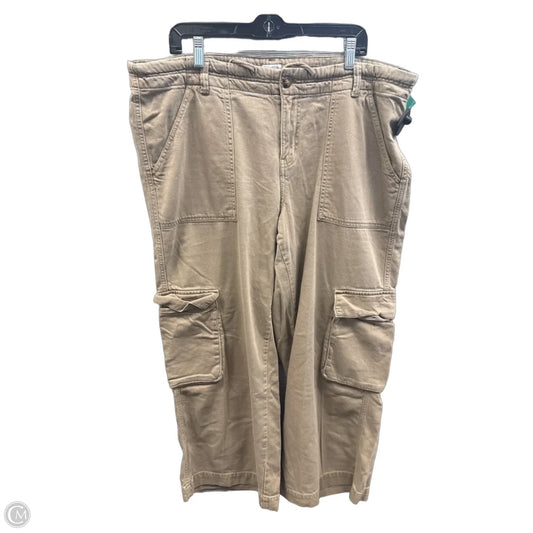 Pants Cargo & Utility By Time And Tru In Brown, Size: 20