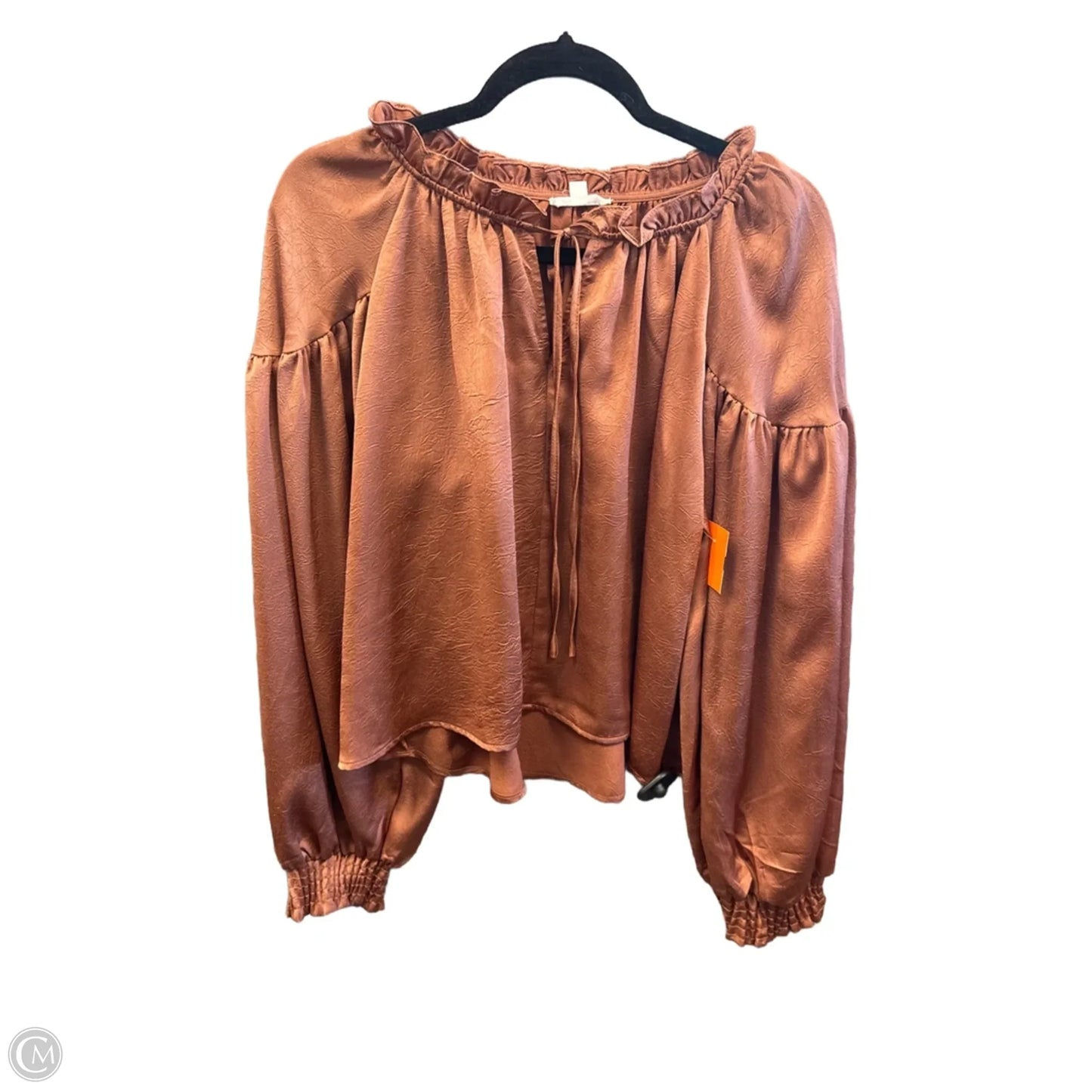 Top Long Sleeve By Blu Pepper In Bronze, Size: M