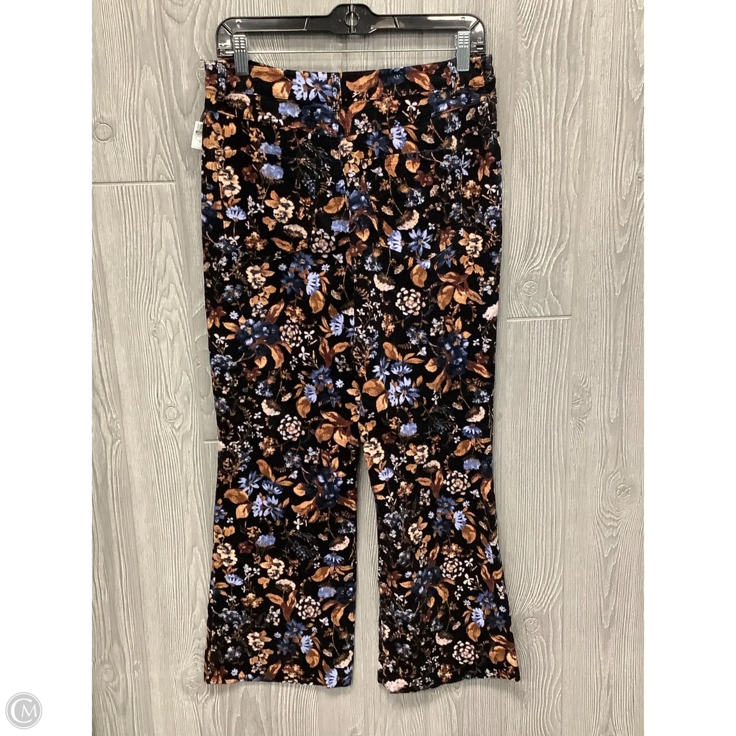 Pants Corduroy By Versona In Brown, Size: 8