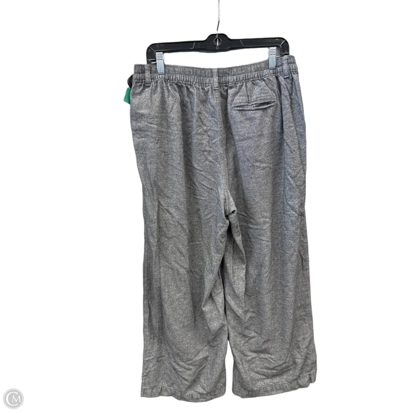 Pants Wide Leg By Aerie In Grey, Size: 12