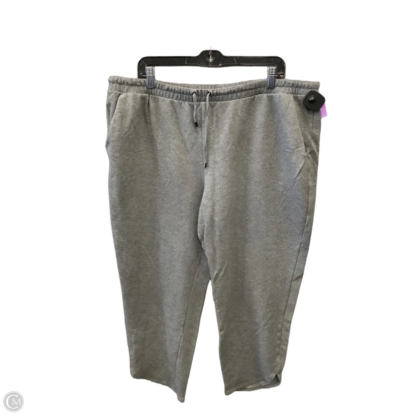 Pants Other By Time And Tru In Grey, Size: 20