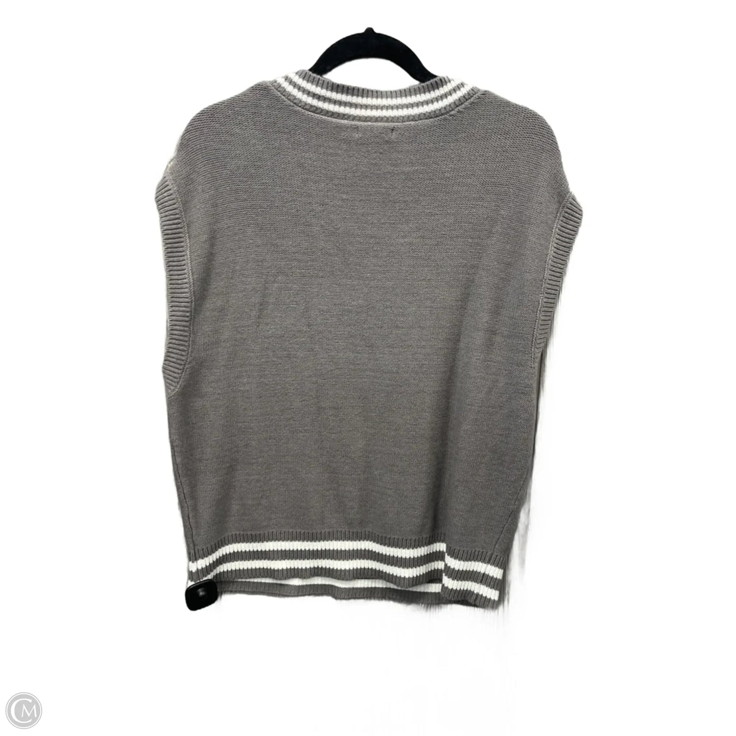 Vest Sweater By Wild Fable In Grey, Size: M