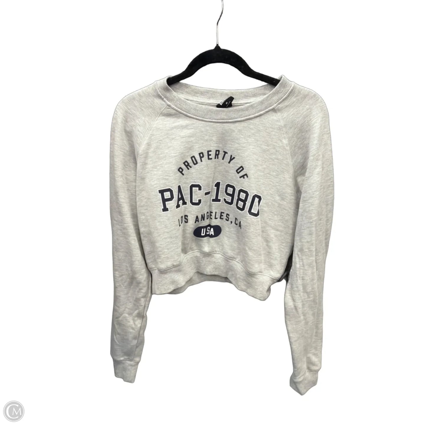 Sweatshirt Crewneck By Pacsun In Grey, Size: M
