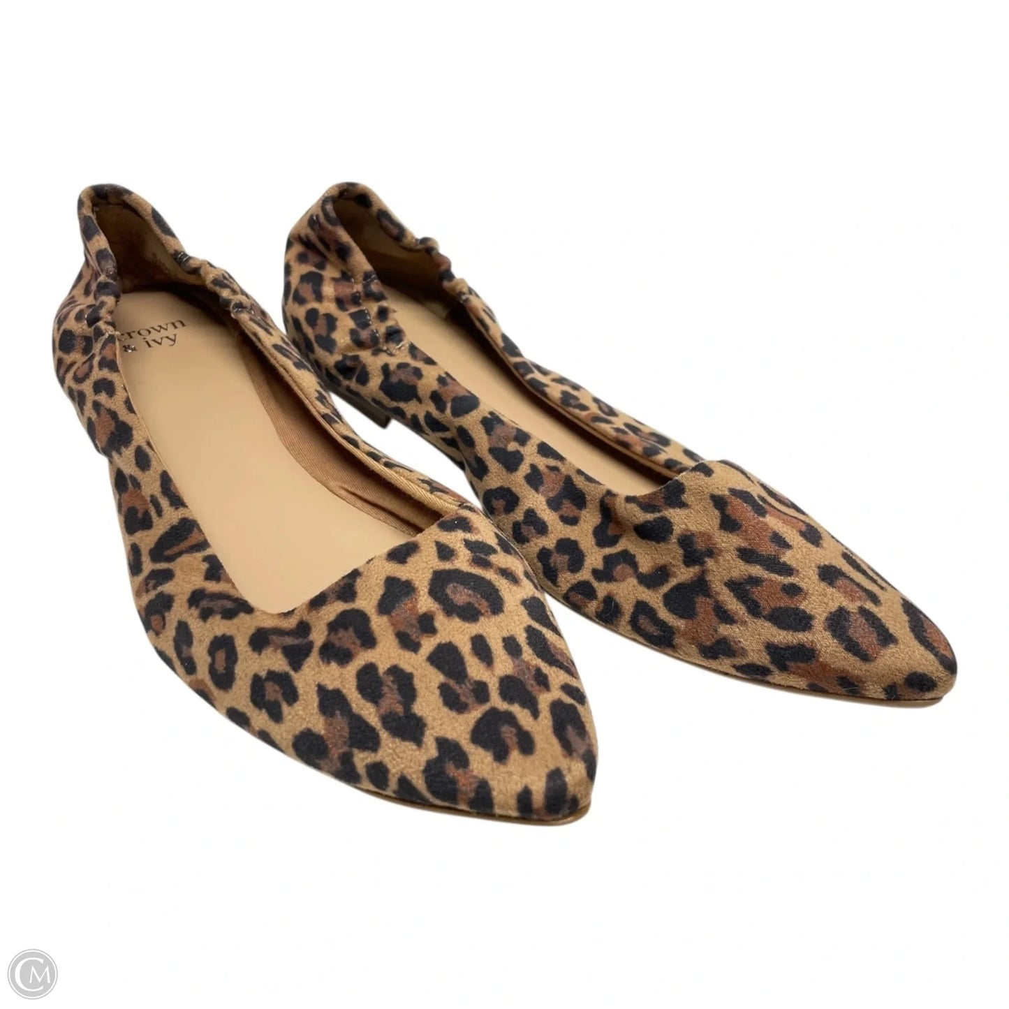 Shoes Flats By Crown And Ivy In Animal Print, Size: 8.5