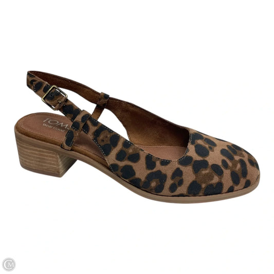 Shoes Heels Block By Toms In Animal Print, Size: 8.5