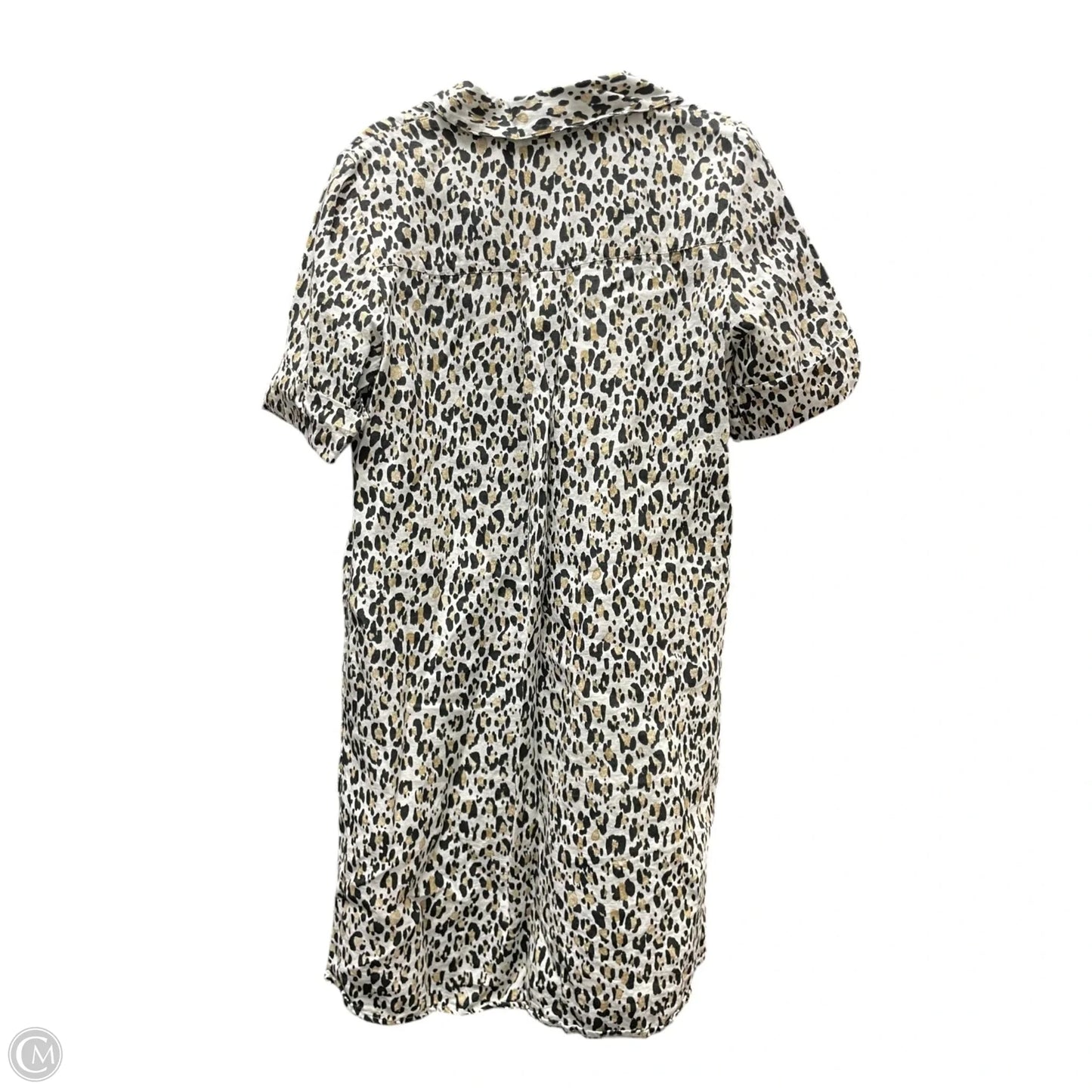 Dress Casual Short By Chicos In Leopard Print, Size: M