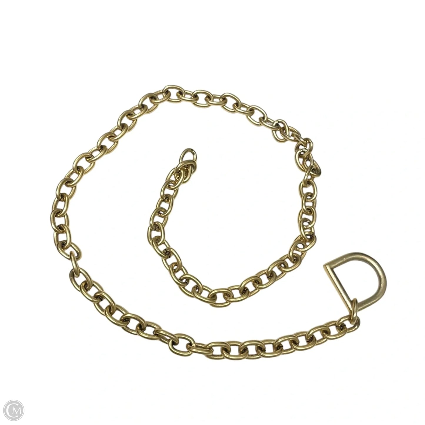 Necklace Chain By Clothes Mentor