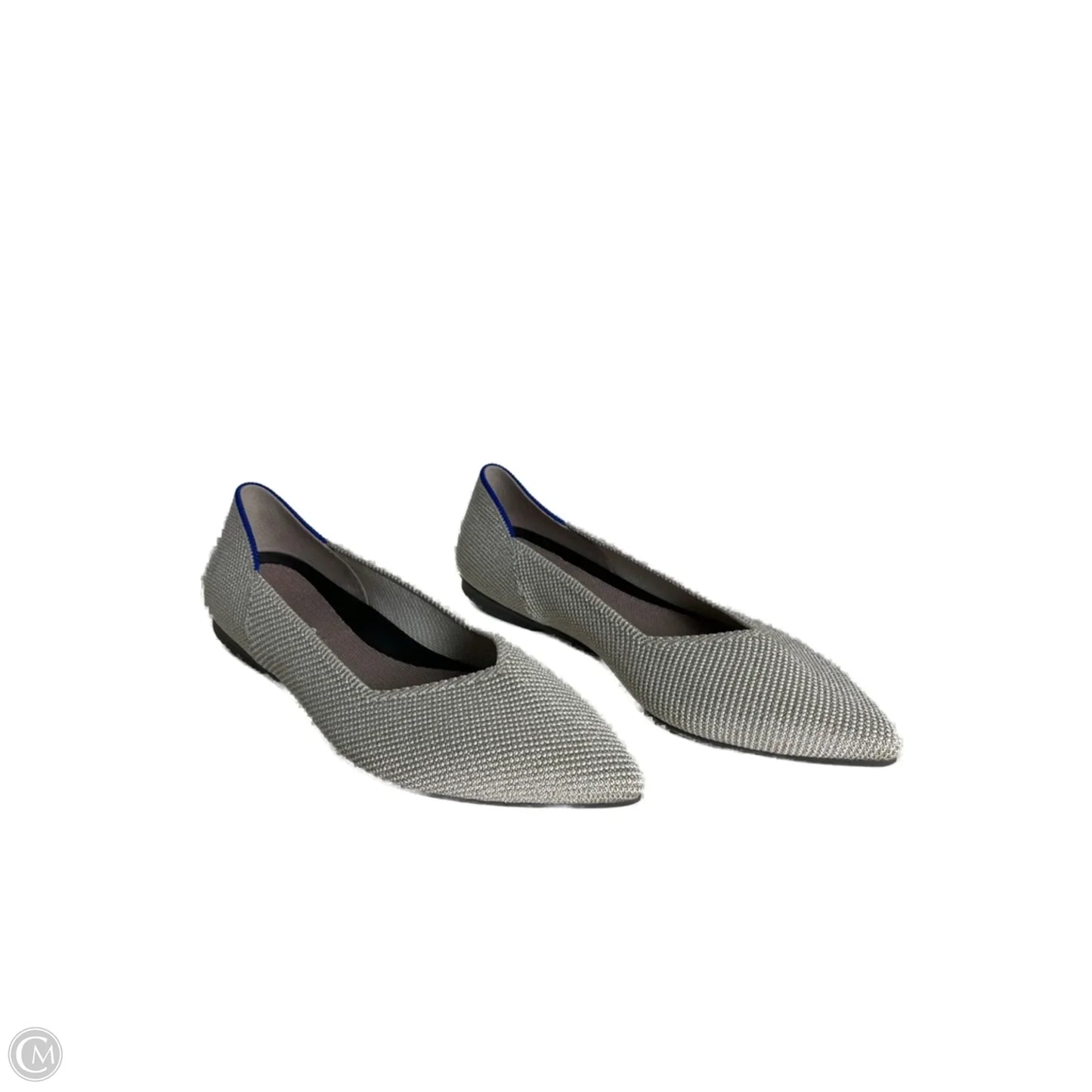 Shoes Flats By Rothys In Silver, Size: 5.5