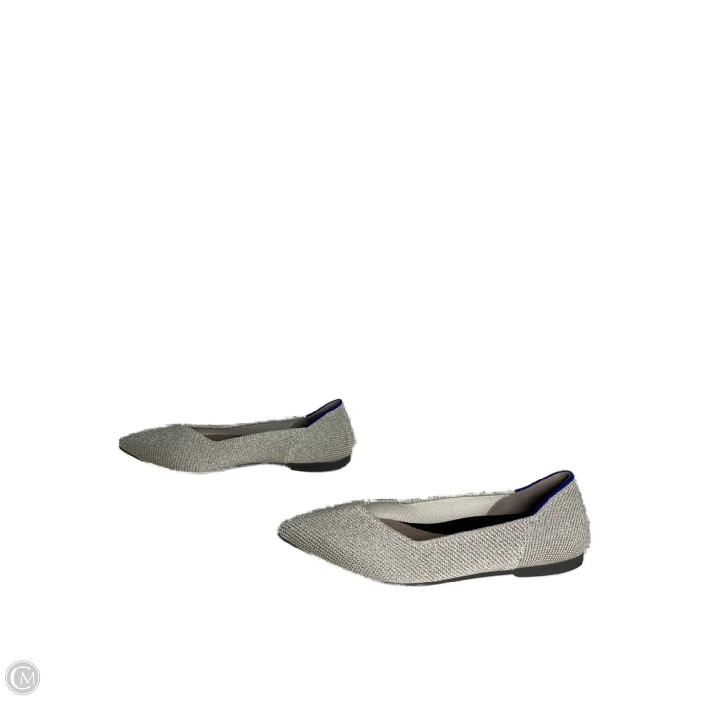 Shoes Flats By Rothys In Silver, Size: 5.5