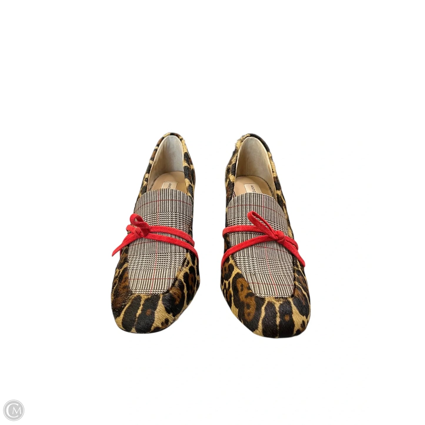 Shoes Heels Block By Antonio Melani In Leopard Print, Size: 7