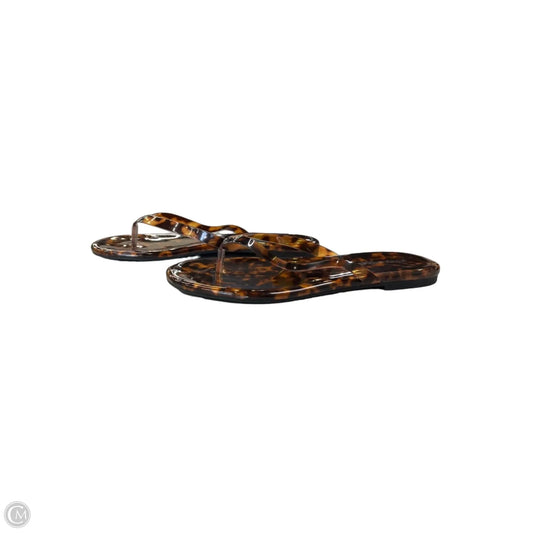 Sandals Flip Flops By Jeffrey Campbell In Tortoise Shell Print, Size: 7.5