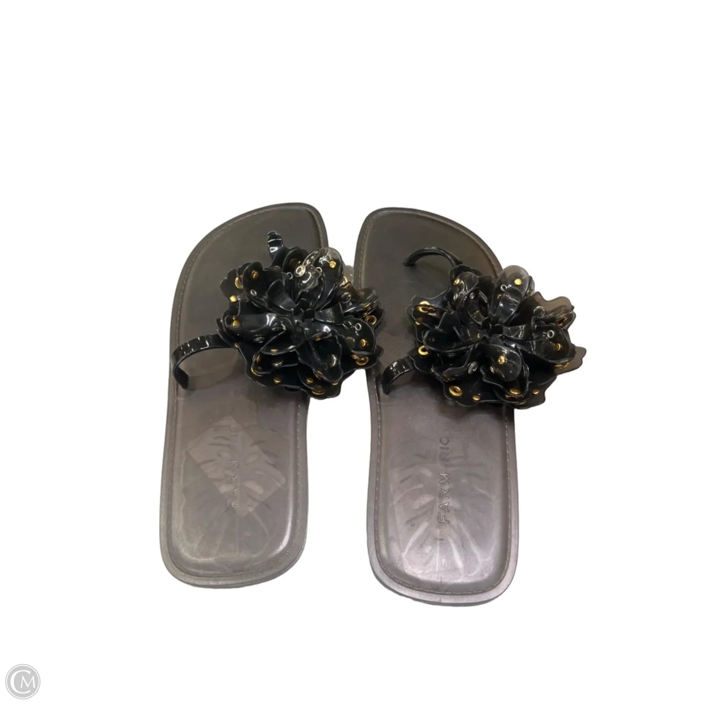 Sandals Flip Flops By Farm Rio In Ombre Print, Size: 10.5