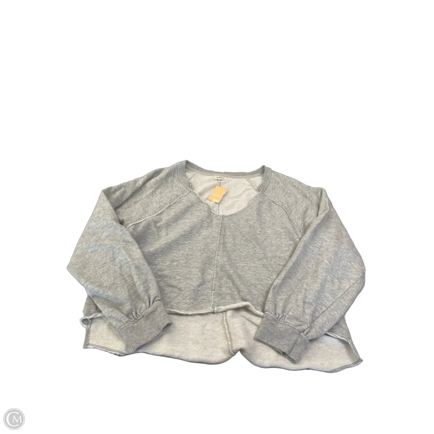 Top Long Sleeve By Pilcro In Grey, Size: M