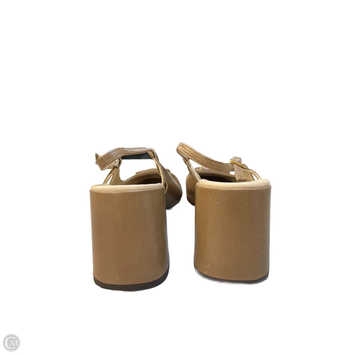 Shoes Designer By Tory Burch In Brown, Size: 9