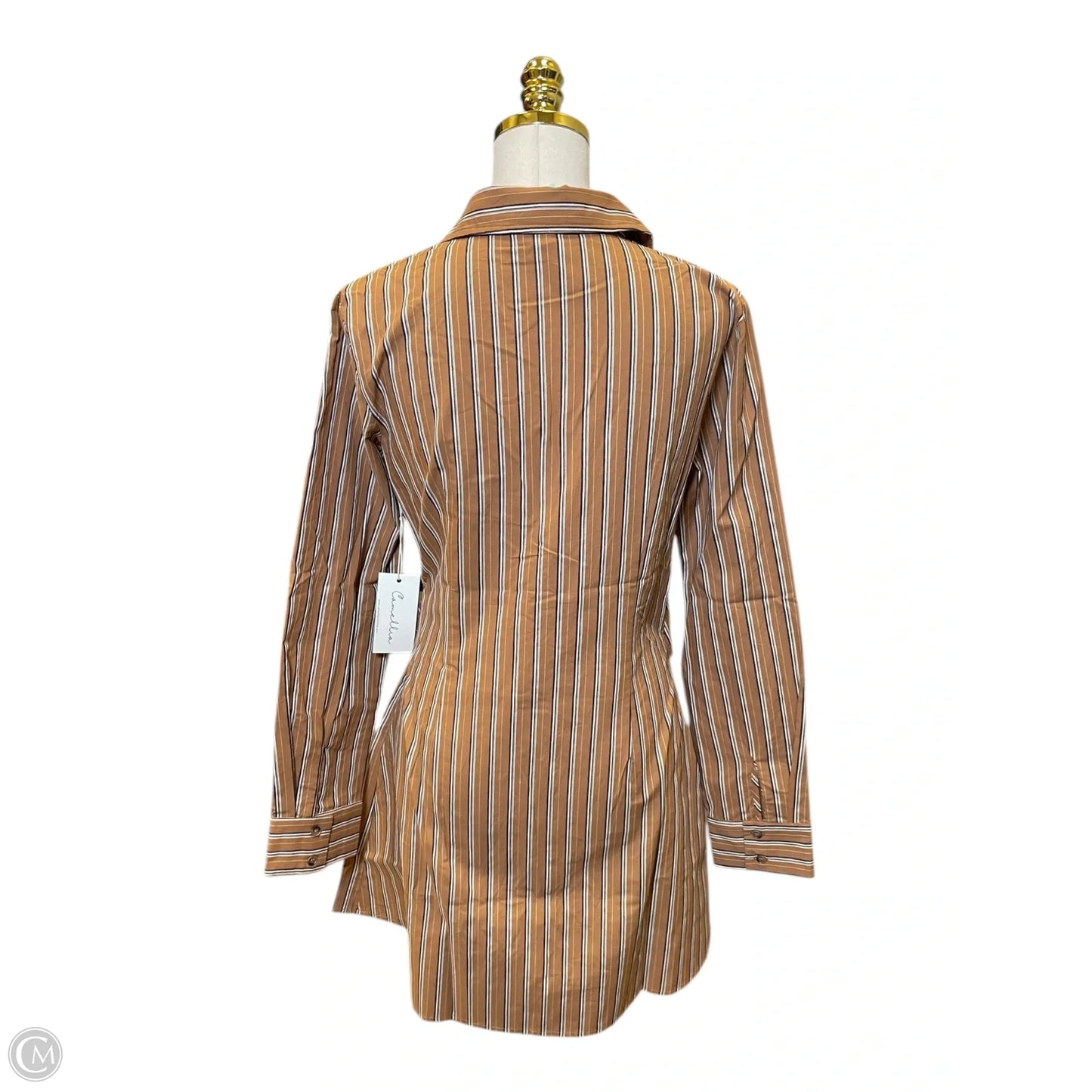 Dress Casual Short By Clothes Mentor In Striped Pattern, Size: S