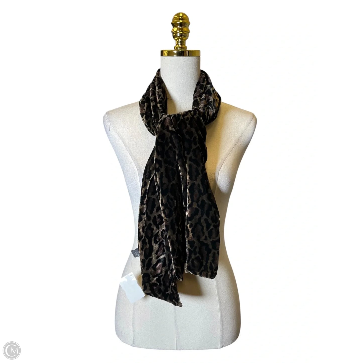 Scarf Long By Joseph A.