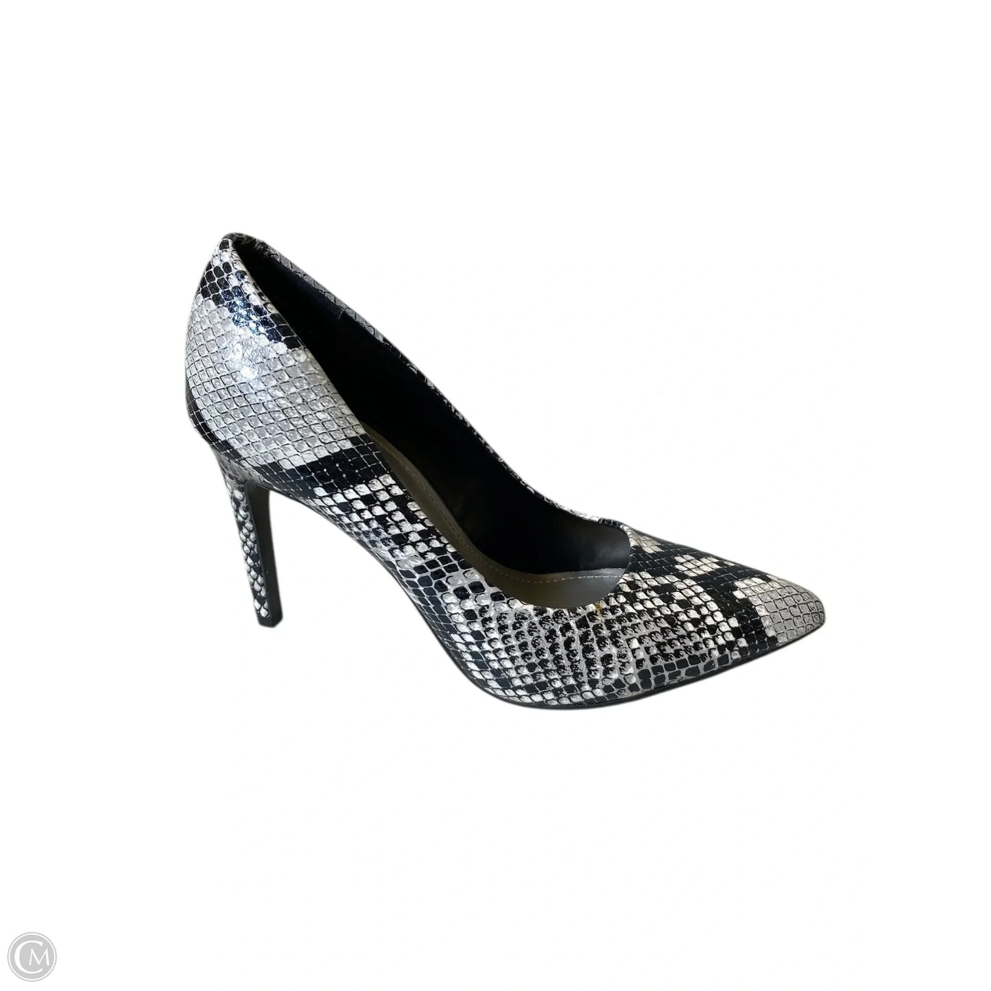 Shoes Heels Stiletto By Worthington In Snakeskin Print, Size: 7