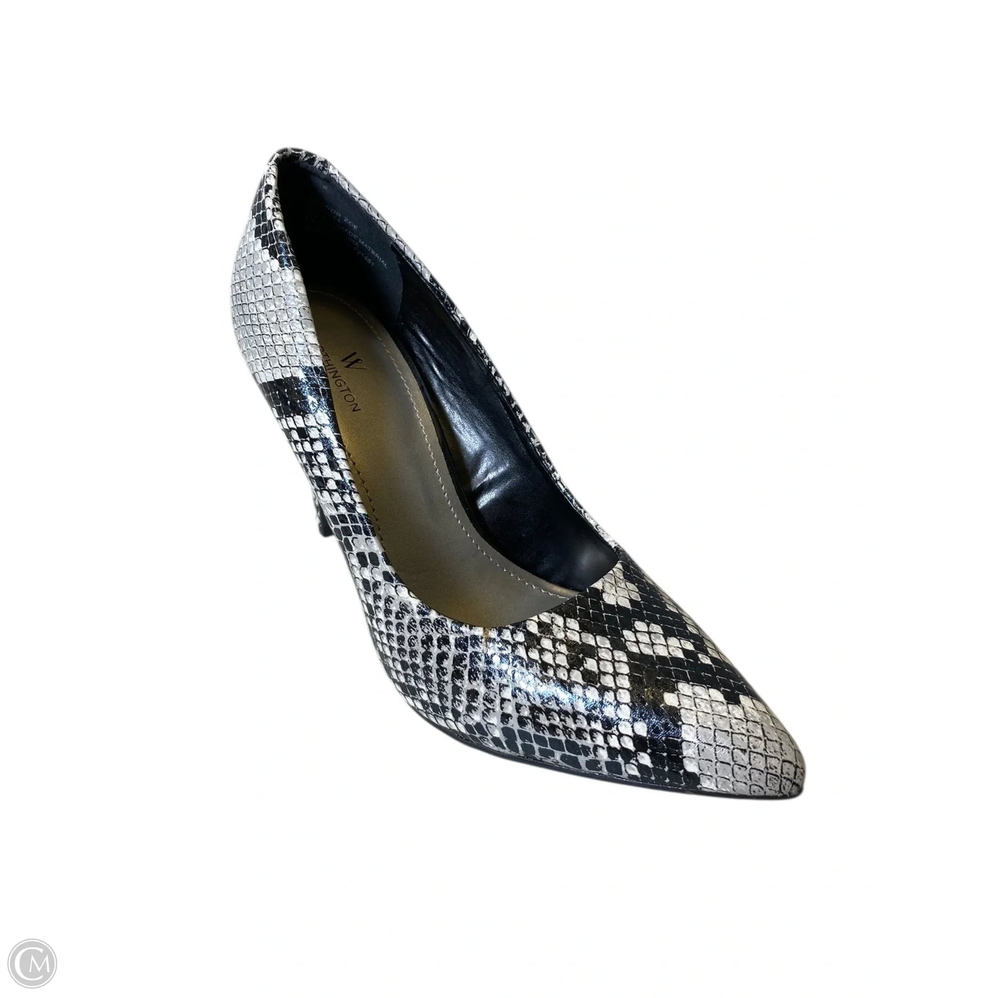 Shoes Heels Stiletto By Worthington In Snakeskin Print, Size: 7