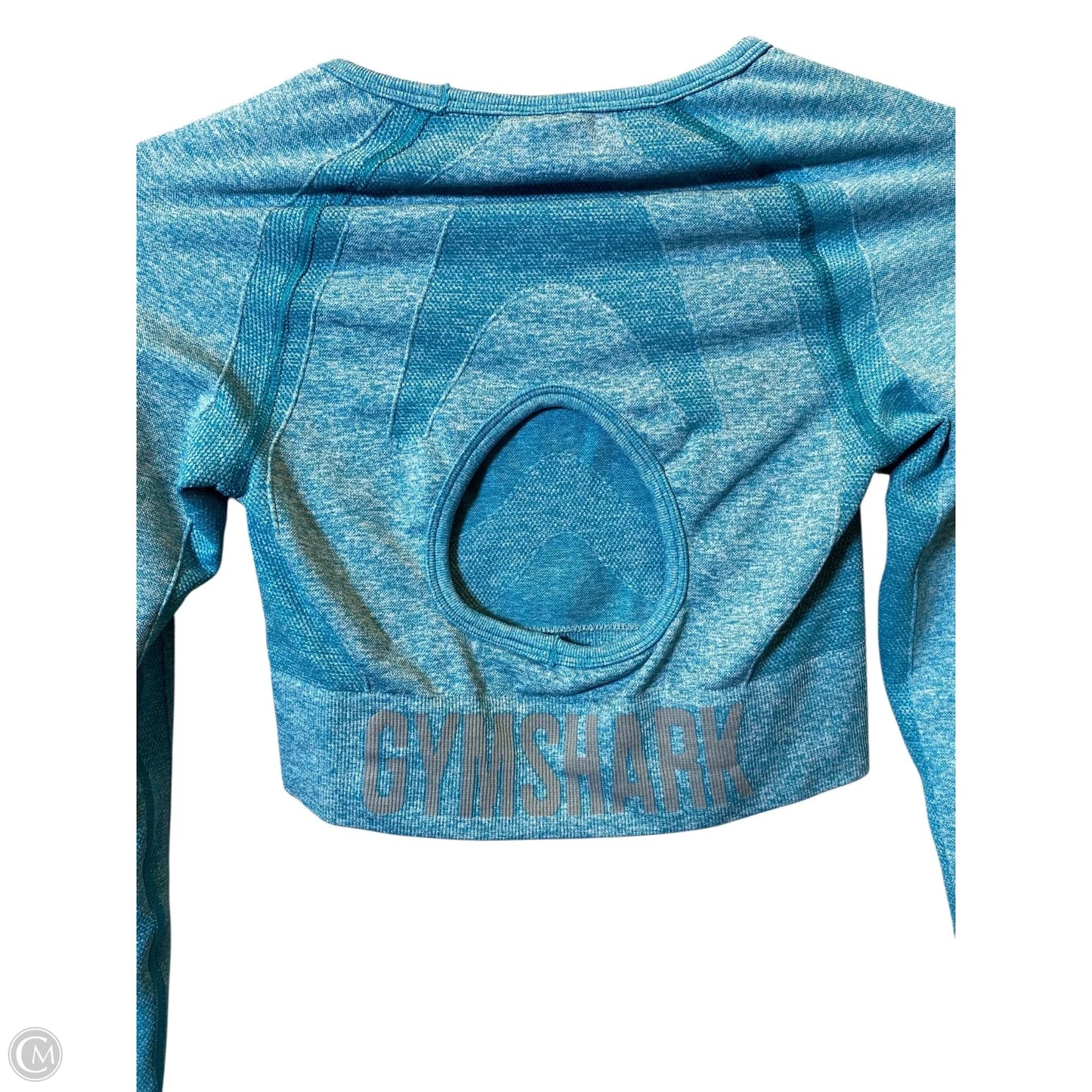 Athletic Top Long Sleeve Crewneck By Gym Shark In Aqua, Size: S