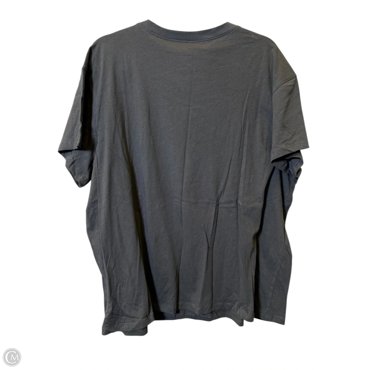 Top Short Sleeve By Torrid In Grey, Size: 1x