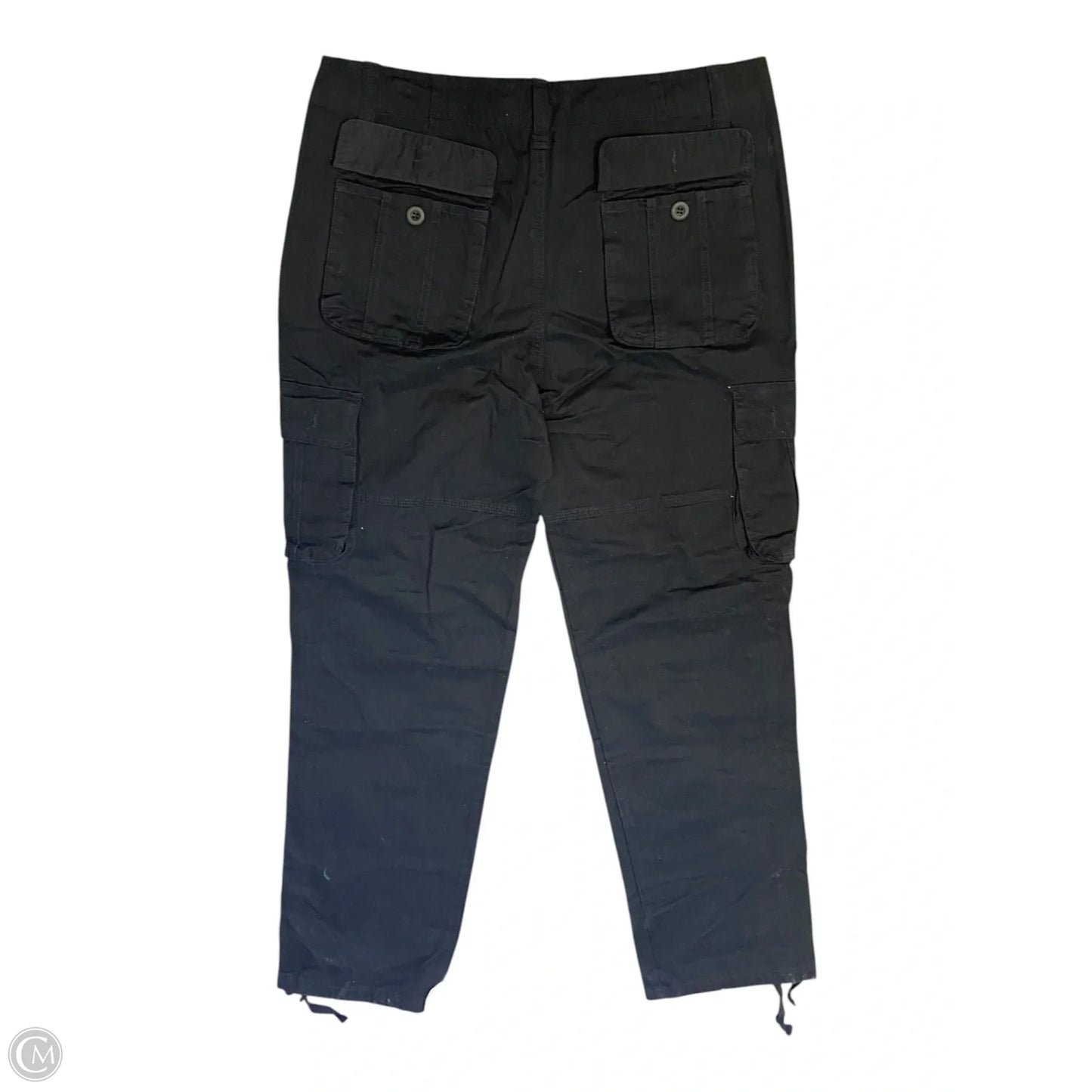 Pants Cargo & Utility By Carhartt In Black, Size: 2x