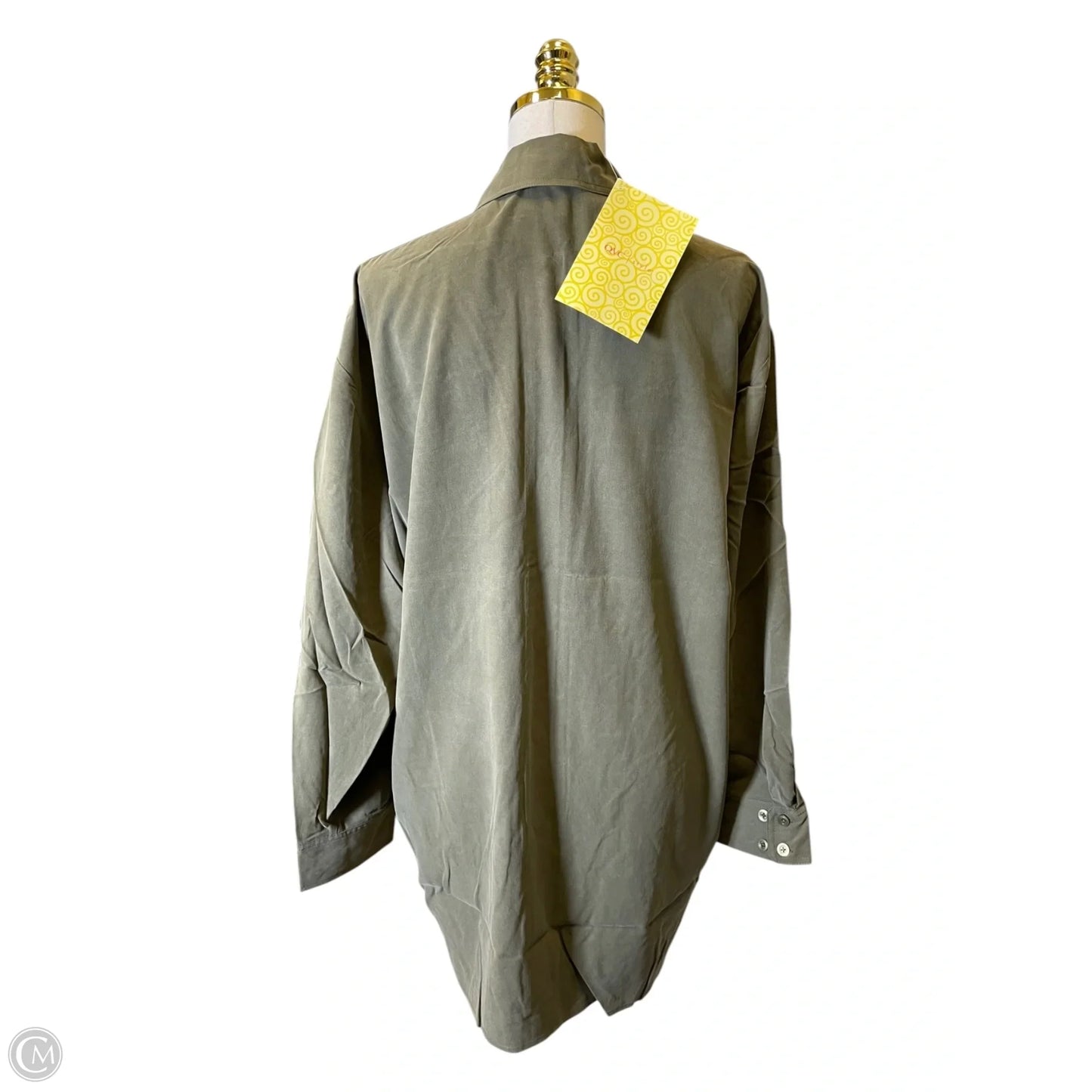 Blouse Long Sleeve By Linea By Louis Dellolio In Green, Size: 2x