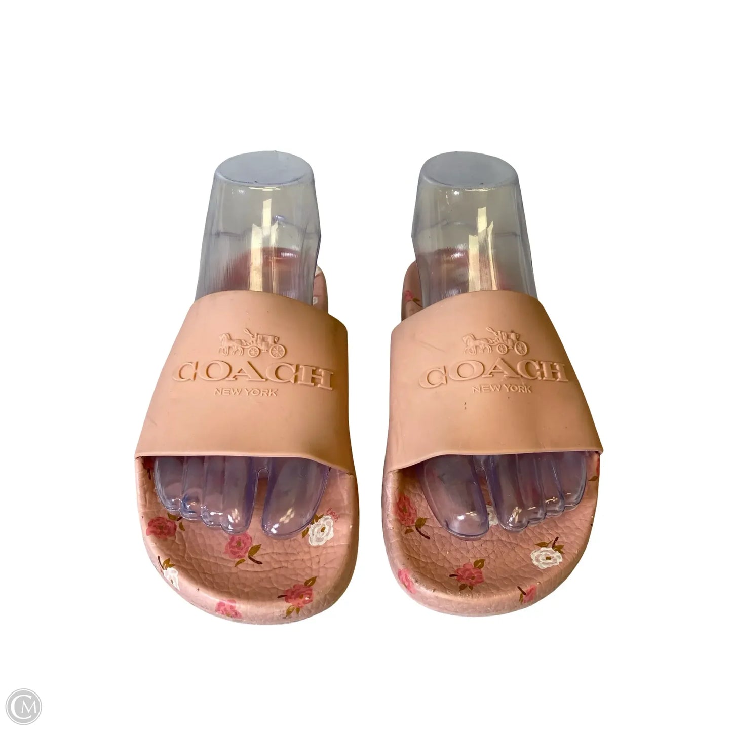Shoes Designer By Coach In Floral Print, Size: 6