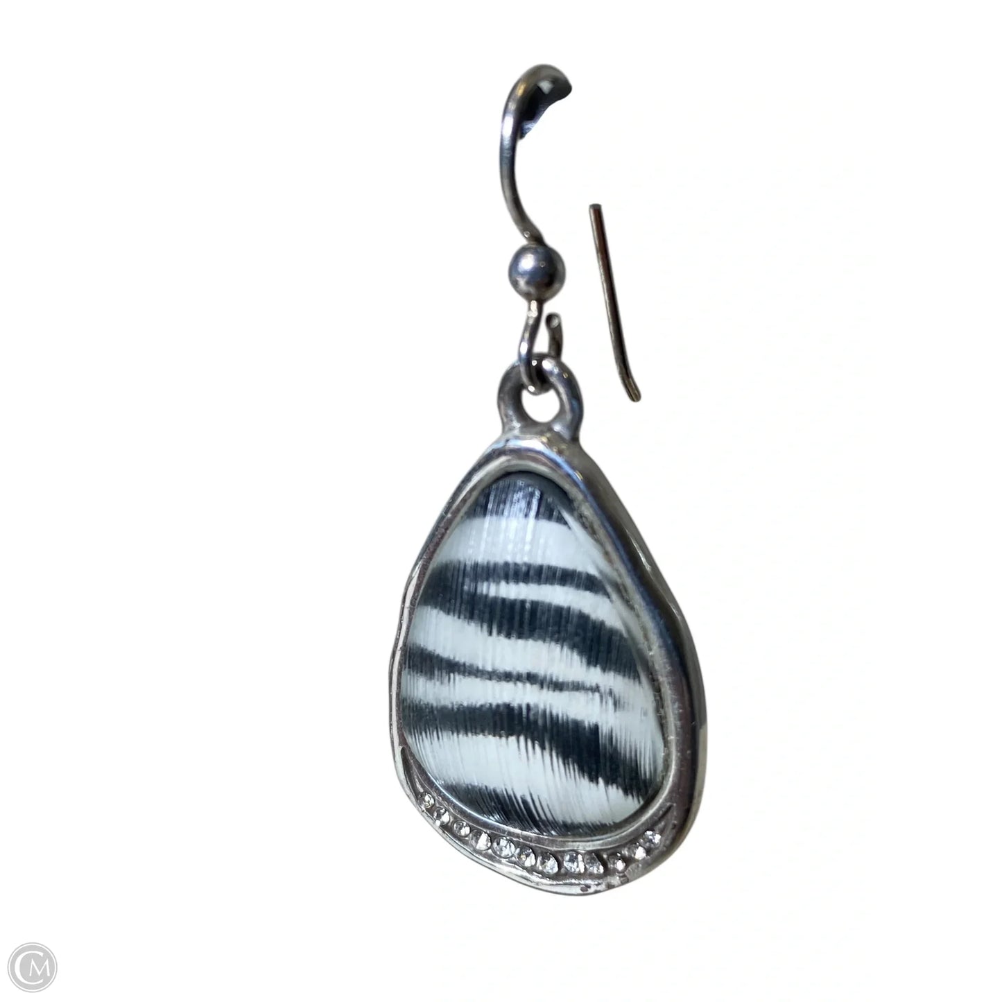 Earrings Dangle/drop By Clothes Mentor