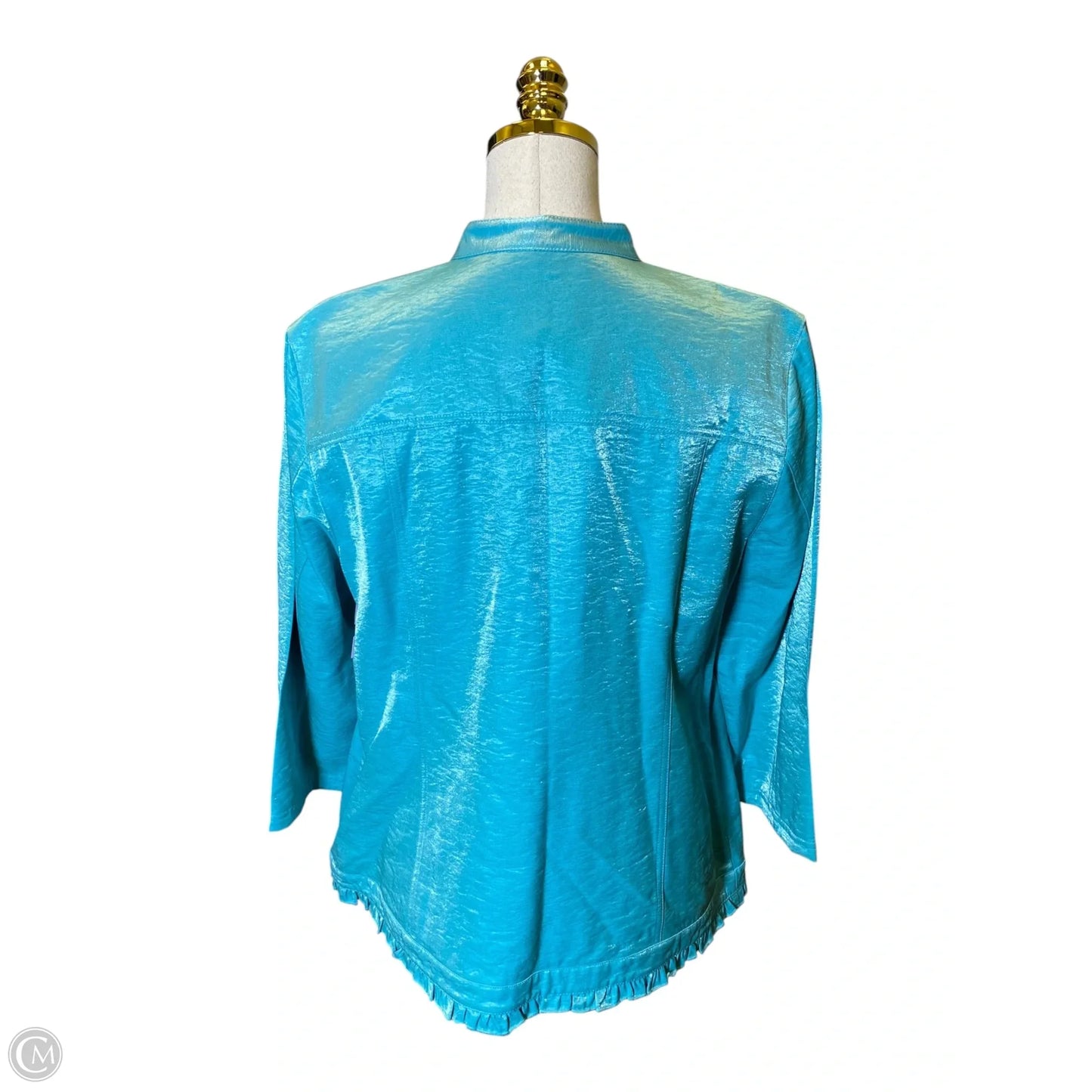 Top Long Sleeve By Chicos In Aqua, Size: L