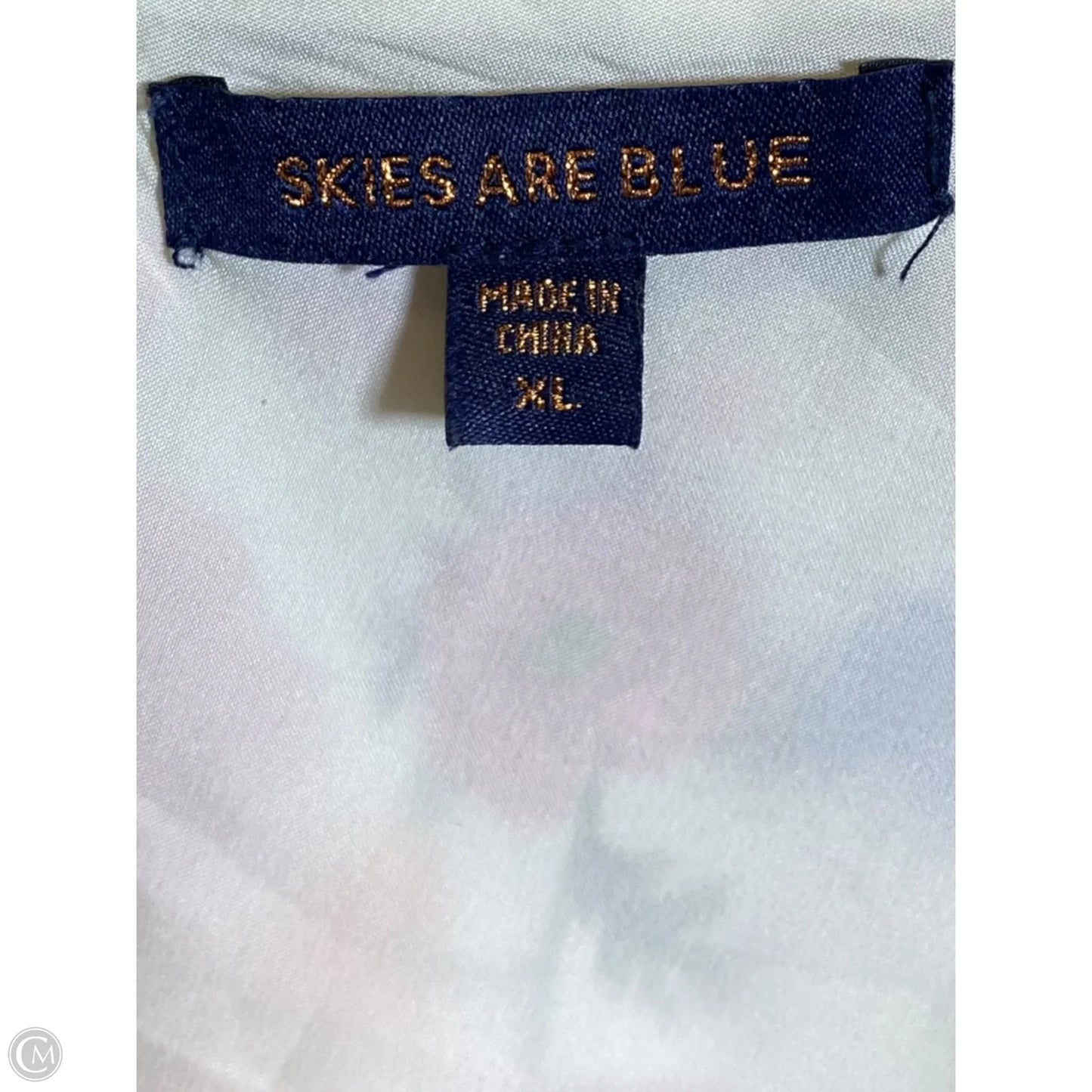 Top Sleeveless By Skies Are Blue In Floral Print, Size: Xl