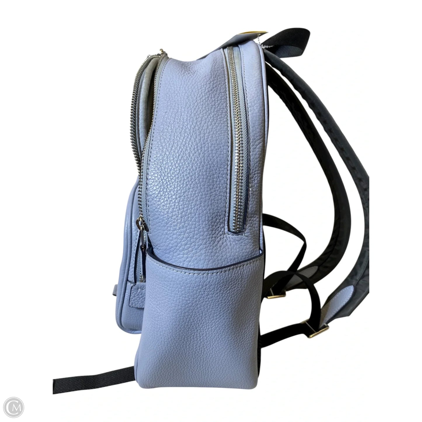 Backpack Designer By Coach, Size: Medium