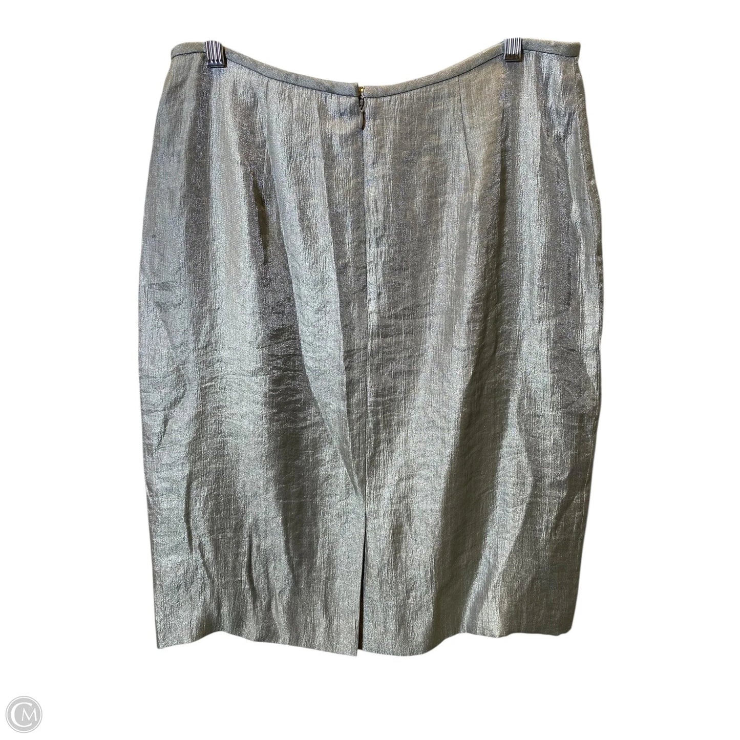 Skirt Maxi By Adrianna Papell In Grey, Size: 14