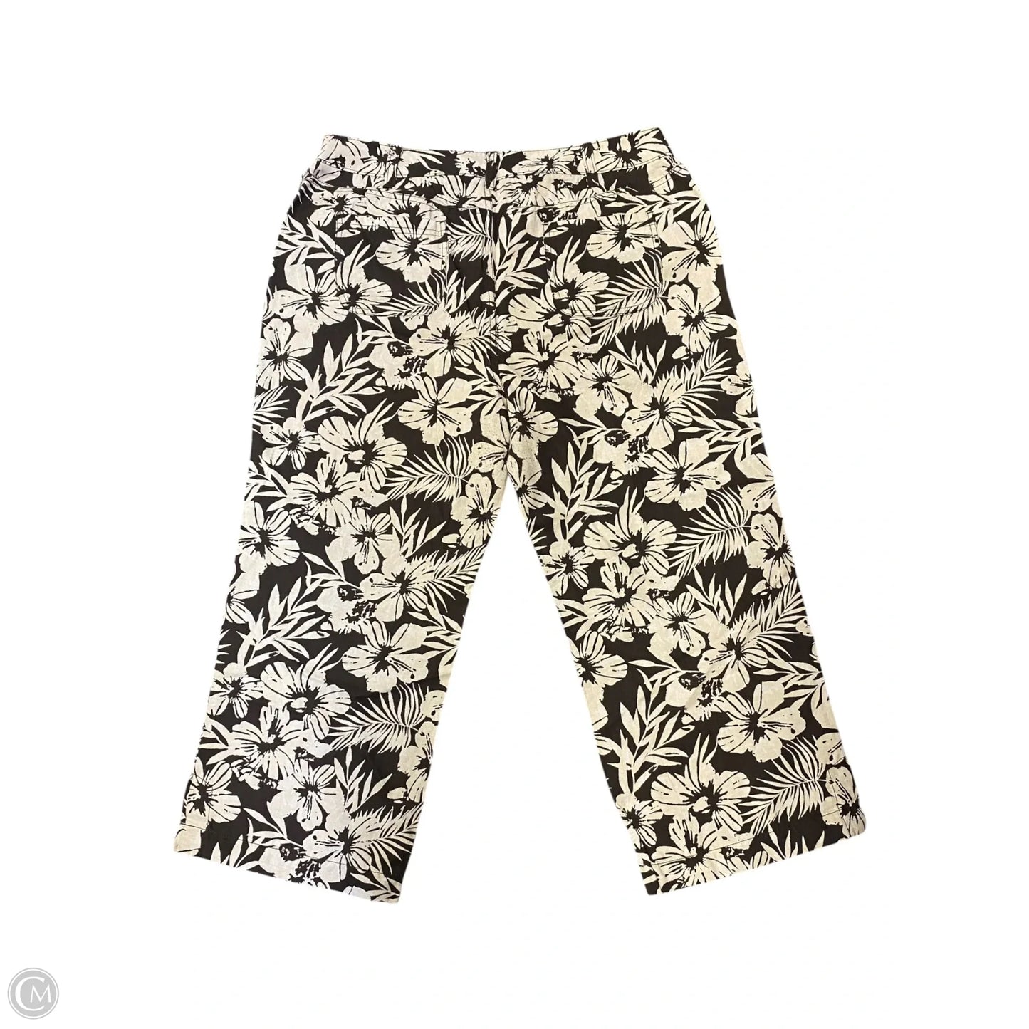 Pants Other By Amber Sun In Brown & Cream, Size: 14