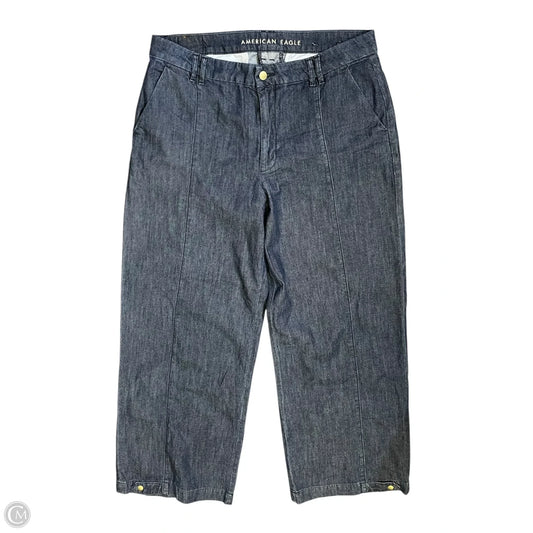 Pants Other By American Eagle In Blue, Size: 12