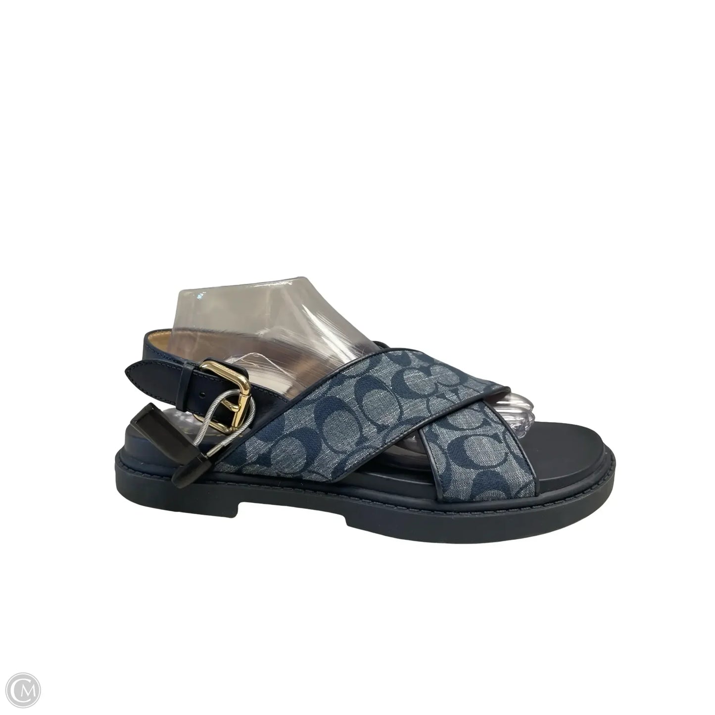 Sandals Designer By Coach In Blue, Size: 10