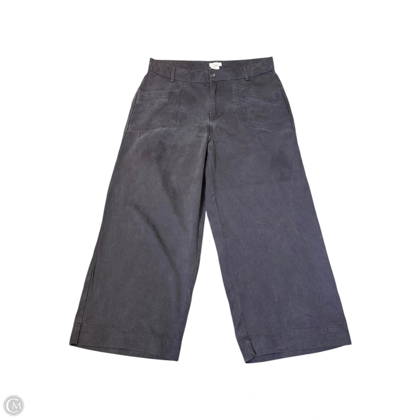 Pants Other By Joie In Grey, Size: 12