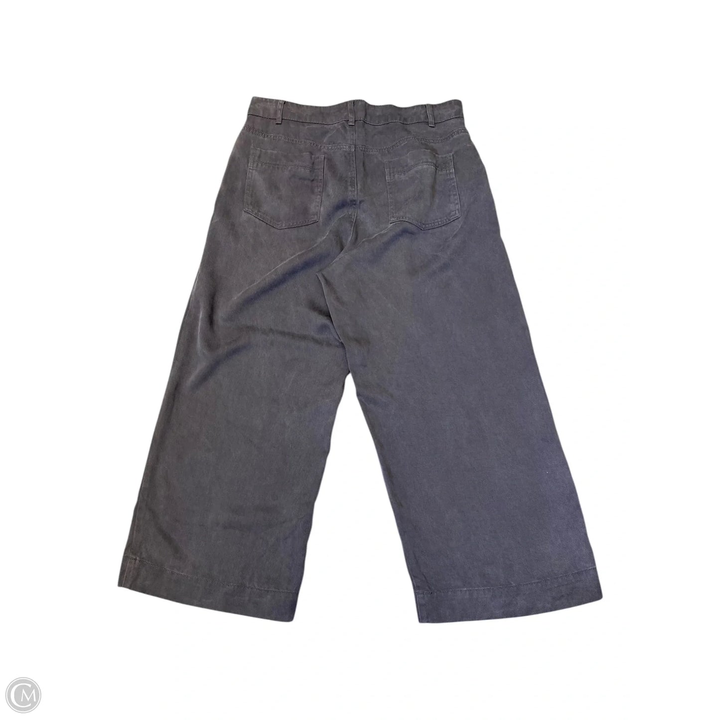 Pants Other By Joie In Grey, Size: 12