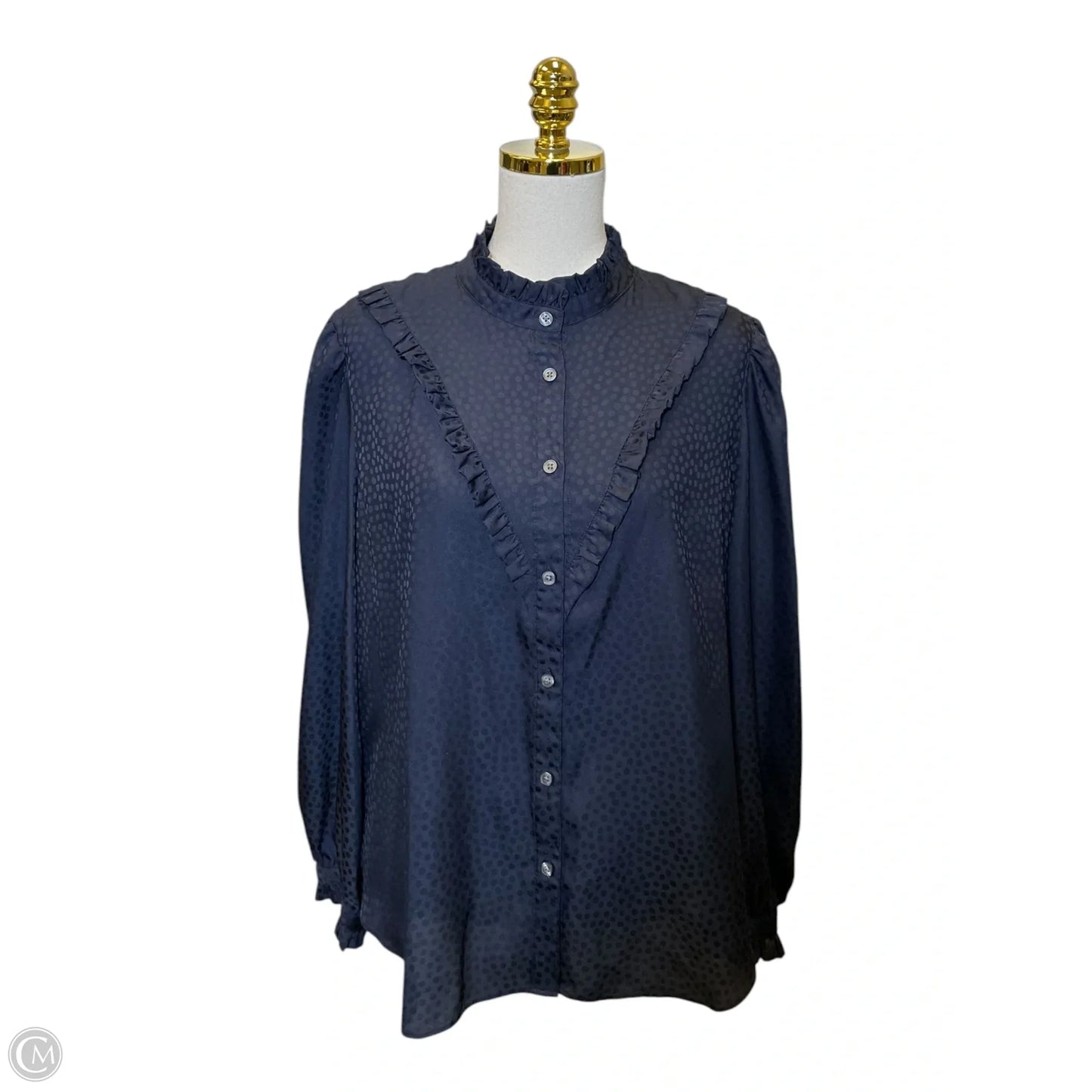 Top Long Sleeve By Ann Taylor In Blue, Size: Xl
