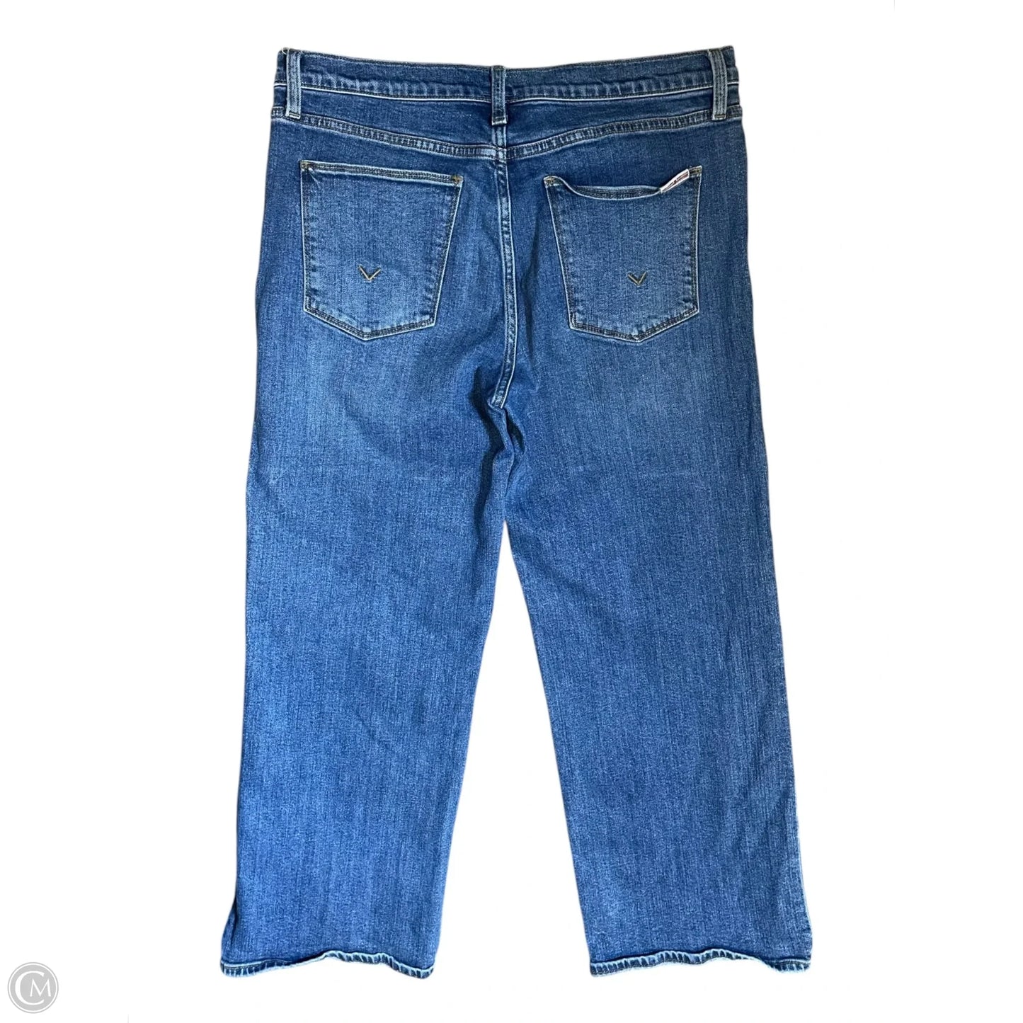 Jeans Wide Leg By Hudson In Blue Denim, Size: 14